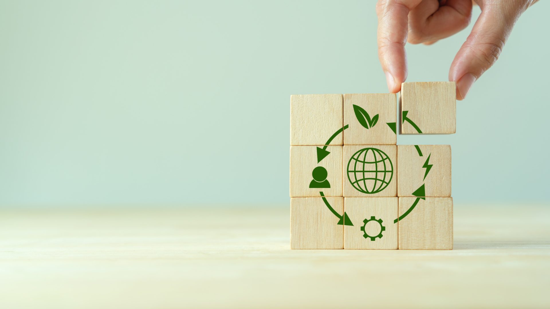 Circular Economy, Sustainability