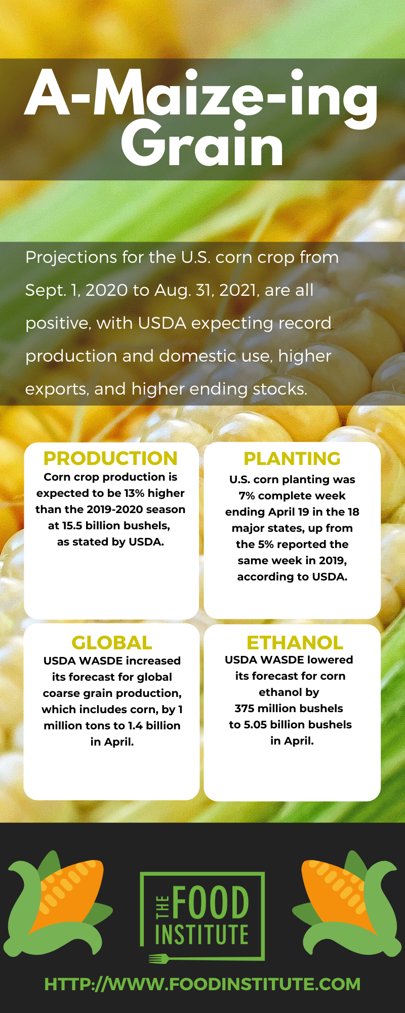 grain crops of the us