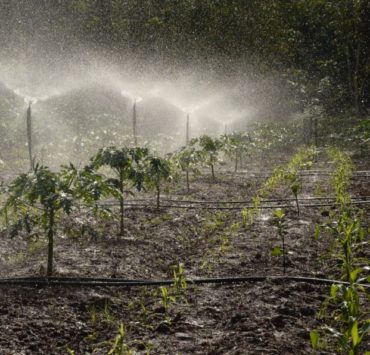 garden sprinkler turned on