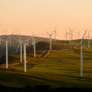 windmills on green field under white sky during daytime
