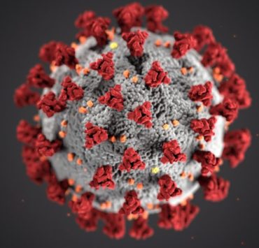 coronavirus