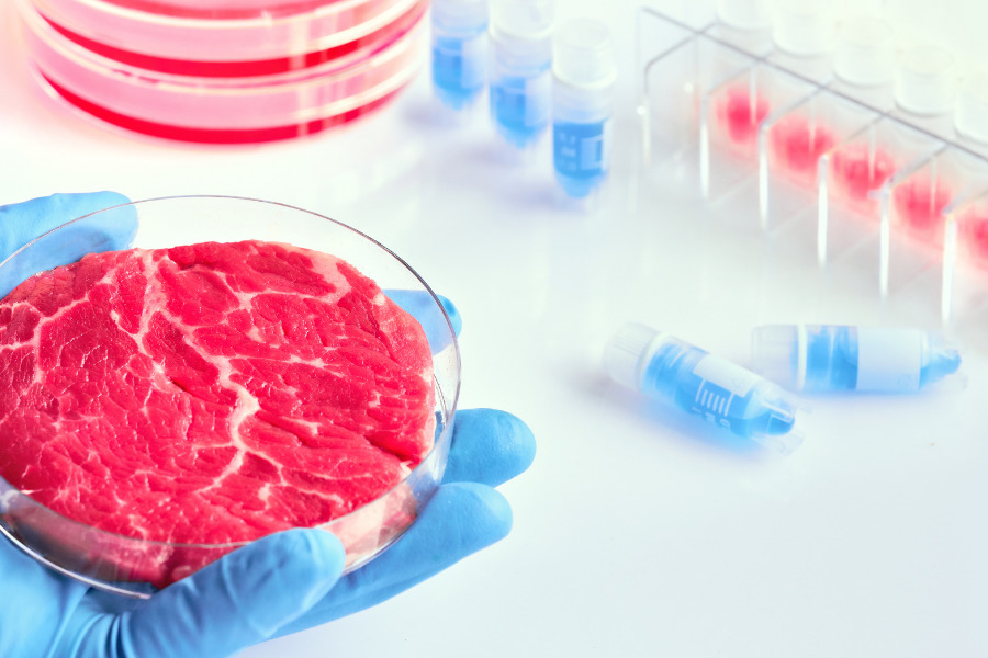 Plant-based and cultivated meat innovation