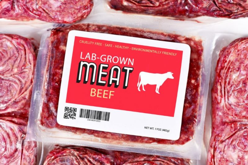 cell-cultured-meat-looks-to-go-mainstream-the-food-institute