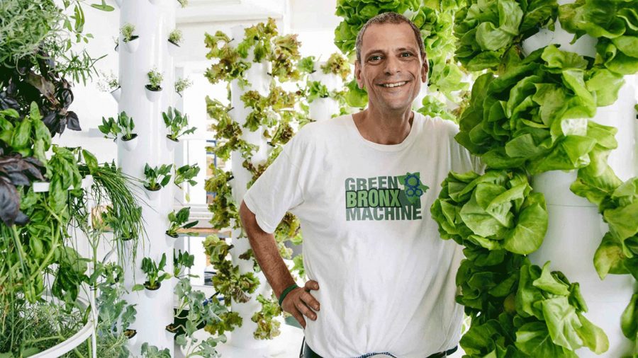 Green Bronx Machine, Let's Learn with Mr. Ritz, Stephen Ritz, Food Institute Podcast