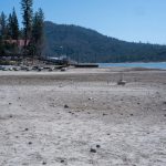 people on beach during daytime