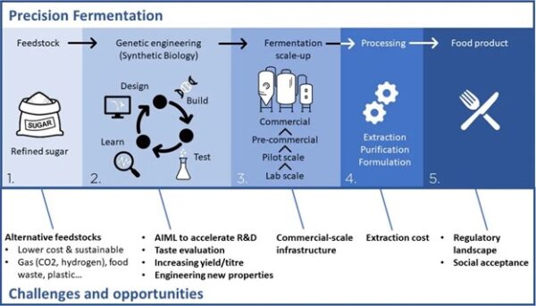 Analysis: What are the Benefits of Precision Fermentation? - The Food ...