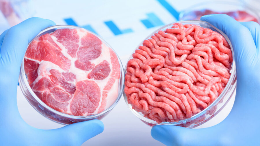 Cultivated Meat Heating Up as Big Food Enters Market - The Food Institute