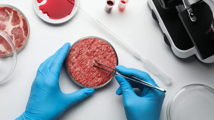 Cultured Meat: Better Than The Real Thing?