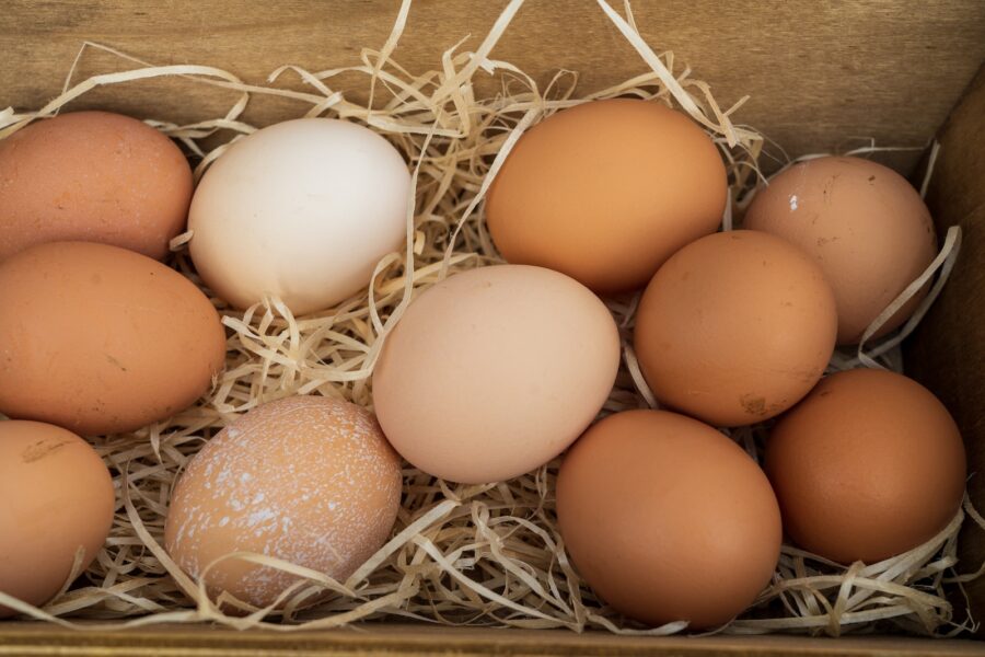 free-range eggs