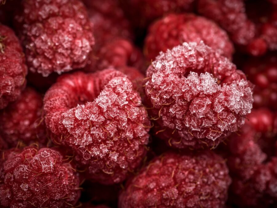 close-up photo of red fruits