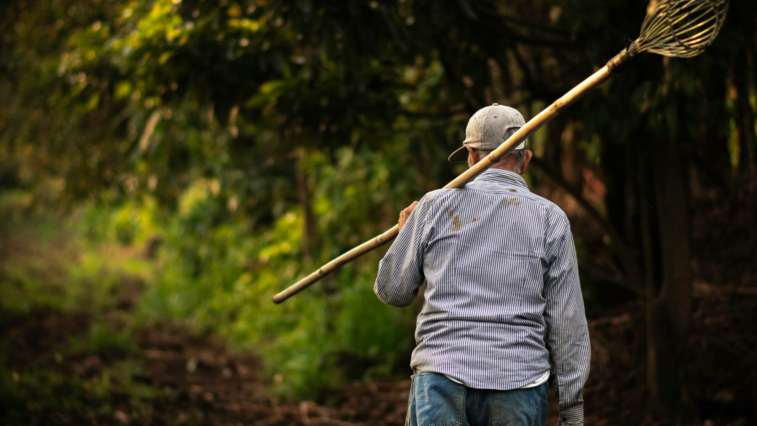 brazilian farmer