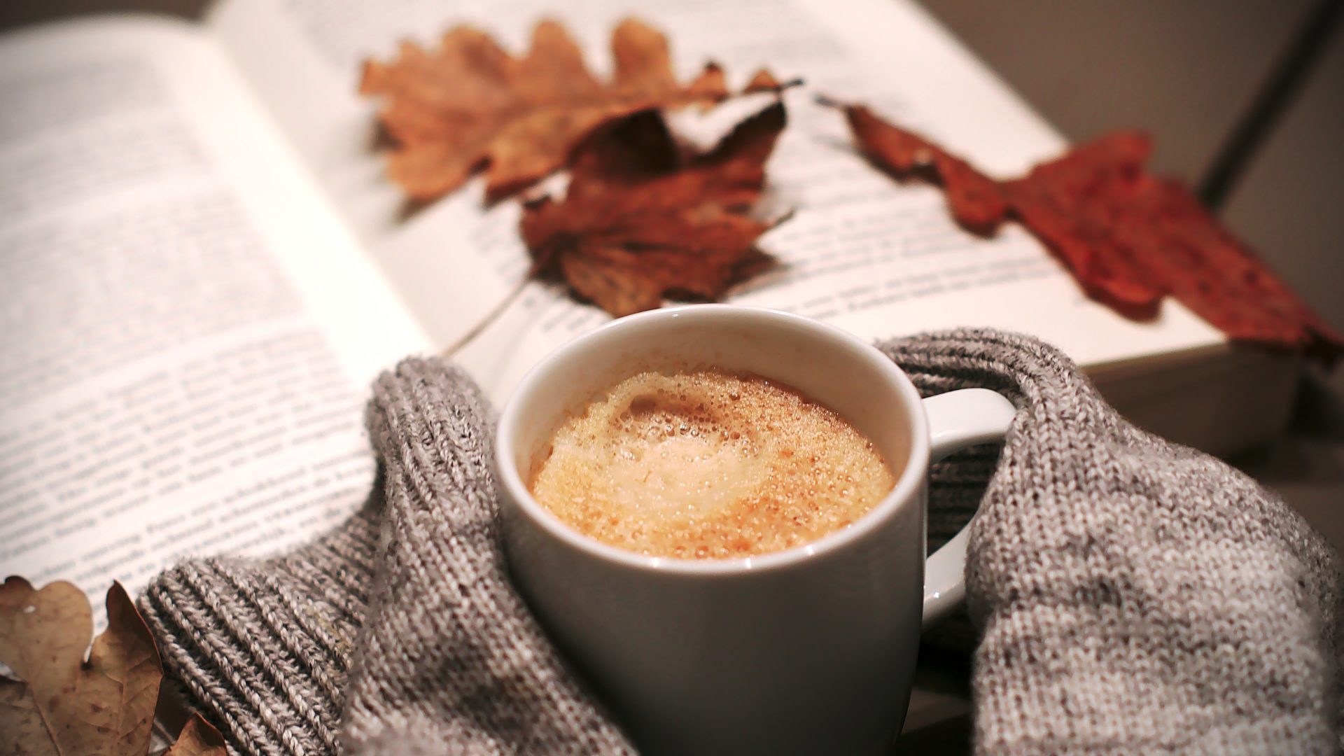 Fall Flavors, Cup and Book