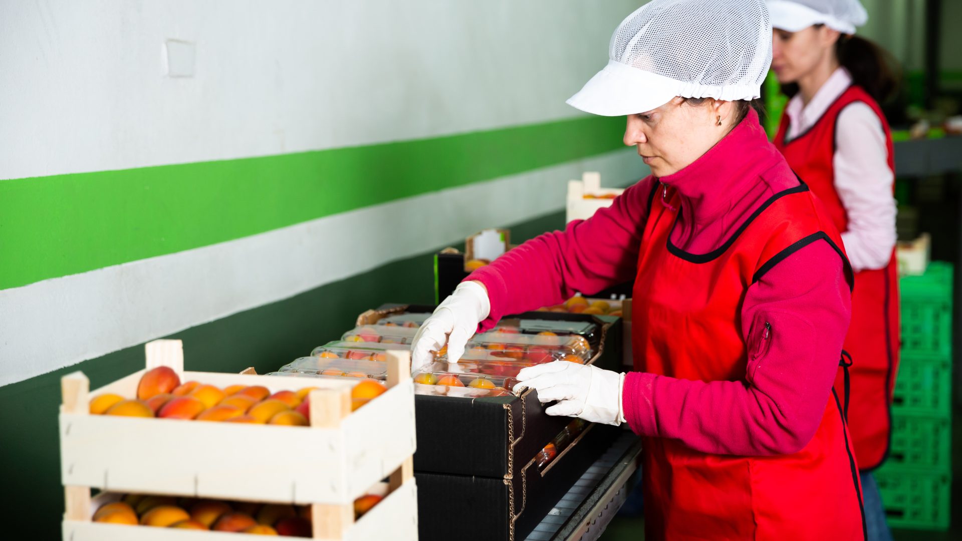 Food recalls for fruit